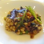 リストランテ シーヴァ - イカのラグーソースのオルゾット（大麦のリゾット）（2016.3）