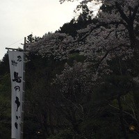 うかい鳥山 - うかい鳥山 入り口から入り
                期待させますね