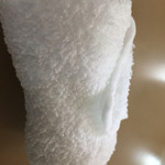 天遊 - 大将自ら暇があったらたたみます。素晴らしい
      