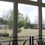 JOHANARE - 窓からは庭の桜が良く見えていました