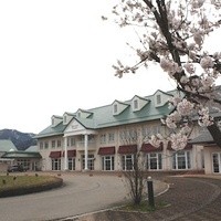 ジョウハナーレ - 桜が咲いていました