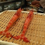 栄寿司 - 車海老