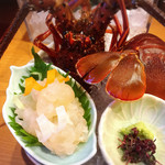 平花とんぼ - お造りにて！