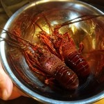 平花とんぼ - 活伊勢海老！