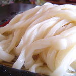 手打ちうどん さわいち - うどん　アップ