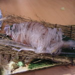 イカセンター新宿総本店 - イカ