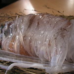 イカセンター新宿総本店 - イカ