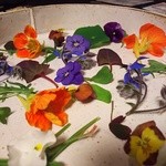 鮓や 大東 - (2016.04)　おすそ分け。サービスでいただいたエディブルフラワー。見た目だけではなく、味もバラエティーに富んでいて大変楽しめました。