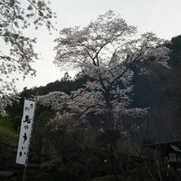 うかい鳥山 - 