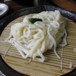 Teuchiudommenkoubou - ざるうどん　麺アップ