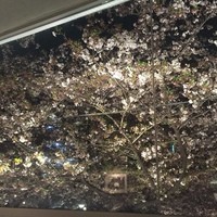 クラフタル - 