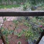 さらの木 - （2016/2月）部屋からの眺め