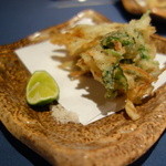 サンセットビューホテル けひの海 - 新たまねぎといかなご　かき揚げ