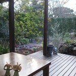 さらの木 - （2016/2月）朝食のダイニングテーブルから庭を見たところ