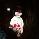 さらの木 - （2016/2月）夕食のテーブルから見た庭の飾り