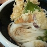 本格手打ちうどん かず丸 - 海老天おろし アップで