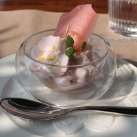 スミレオオサカ - 