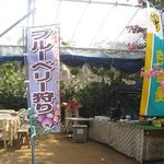 出山果樹園 - ブドウの試食はこちらです