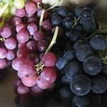 出山果樹園 - お持ち帰りしたブドウ達（笑）画像に残す前に一房食べちゃいました（笑９