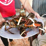 CORE BBQ GARDEN & BAR - 【2016.4.10(日)】ロブスター