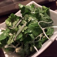 うしごろバンビーナ 恵比寿本店 - パクチーサラダ