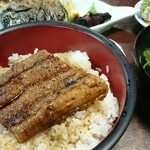 大谷食堂 - 焼鯖とうなぎ丼の『小亀定食』