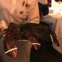 ウルフギャング・ステーキハウス 六本木 - オマール海老2匹