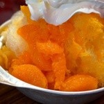 かき氷専門店　ドギャン - 本日の限定かき氷・デポコンと愛媛みかん