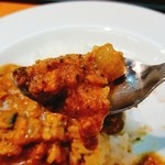 らーめん紫雲亭 - 2016/4  ハーフキーマカレーのルー