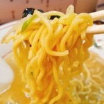 らーめん紫雲亭 - 2016/4  低加水の中細縮れ麺