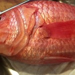 よねさん - 恵比寿鯛（アップ）