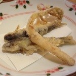 泉や - 【2016.4】稚鮎・山うどの天ぷら 