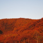 麦草ヒュッテ - 朝日を浴びた山々