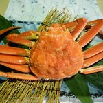 いわ樹 - 北海道産ずわい蟹