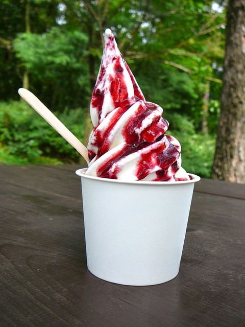 螢のそふとくりん - 富良野（ジェラート・アイスクリーム）の写真