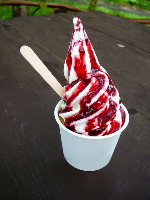 螢のそふとくりん - 富良野（ジェラート・アイスクリーム）の写真