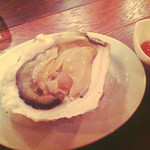 神田ワイン食堂パパン - 