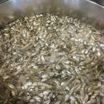 弥惣吉 - 弥惣吉さんのfbより転載させていただきました。