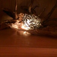 イタリアン オット - 
