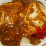 名代 富士そば - カレーかつ丼560円