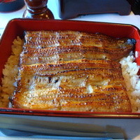 鰻割烹 伊豆栄 本店 - 鰻重