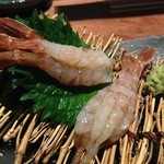 寿司ひでぞう - モサエビ