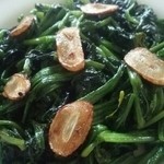 シャゴリカ - サグバジ480円