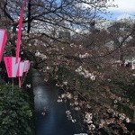 クラフタル - 2016年3月　桜の季節