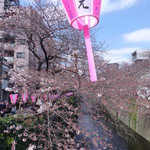 クラフタル - 2016年3月　桜の季節