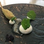 クラフタル - 2016年3月　桜の季節　カエル・フロマージュブラン・バジル　