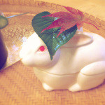 京懐石 吉泉 - 八寸