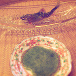 京懐石 吉泉 - 鮎の塩焼き