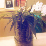 京懐石 吉泉 - 鮎の塩焼き