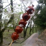 Dango Chaya Rakuu - 「あまからくしだんご」を撮影していたら桜の花びらが舞ってきました♪